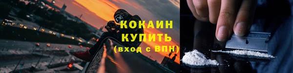 ECSTASY Кукмор