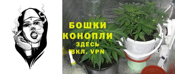 2c-b Кулебаки